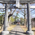 松井神社と臥龍梅