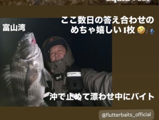 ホタルイカ最近は朝方傾向！