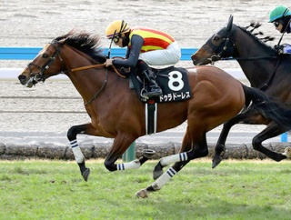 【競馬予想】第48回新潟大賞典(GⅢ) /2026