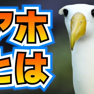 放浪画家「旅びっとん」こと、画家「神田雅志」のブログ　