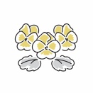 冬の間の部屋干し