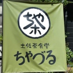 高知のんのんお散歩