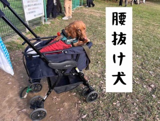 まだまだ修行が足らないな。