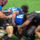 トップイーストリーグ2025シーズン情報（2025.12.5更新）