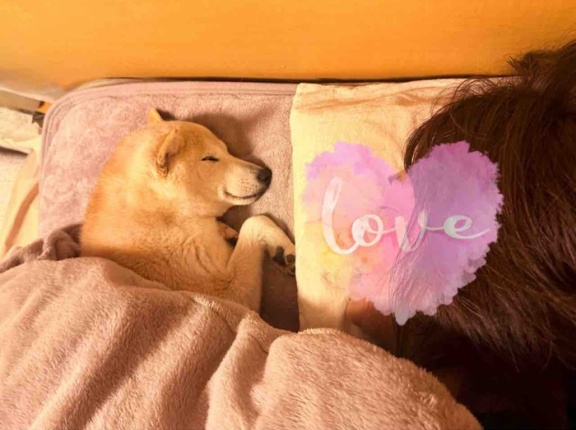 こんな幸せってある？