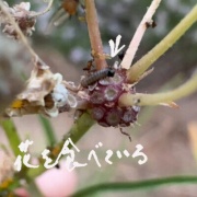 βäΤ