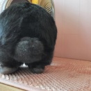 ー 秋晴れ ー