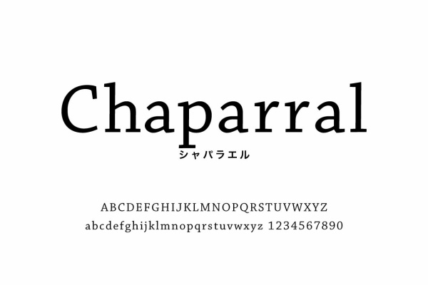 Font Dictionary フォント