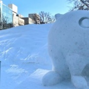 さっぽろ雪まつりの市民雪像の写真を撮影してきました②