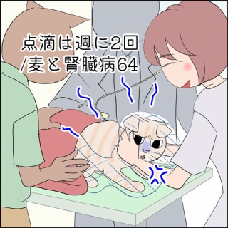 あんこと麦と