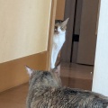 はるちゃん　せいちゃん