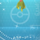 初めて子供・孫と行く旅行の準備を始める