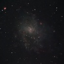 DTD フィルタ－を使って撮影をしてみました!