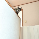 階段の上から