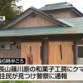 和菓子工房にクマが侵入、冷蔵庫の中のドーナツなどが食べられる