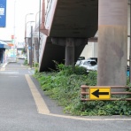 犬と猫の保護活動ブログ