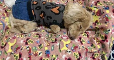 邪魔にならないように…