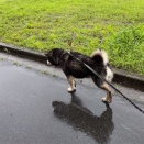 台風🌀が来てる