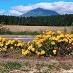新・読後充実度 84ppm のお話