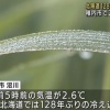 北海道稚内市で2.6℃　128年ぶりの強い冷え込みに