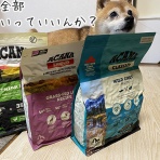 豆柴ぽんと北海道