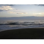 ありがとう鹿島灘2015年水揚げ②