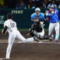 【悲報】阪神タイガースさん、牧秀悟さんに2日連続死球