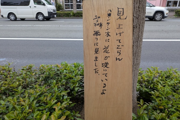 沼津つーしん - 看板