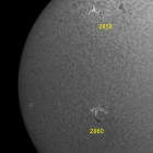 『投稿：賑やかな太陽面と太陽黒点【追記】　2021/09/19』の画像