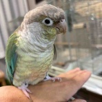 waka ⭐ のの＆のあ そしてぎずも