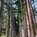 令和七年10月の華音のクラシックはお好き？