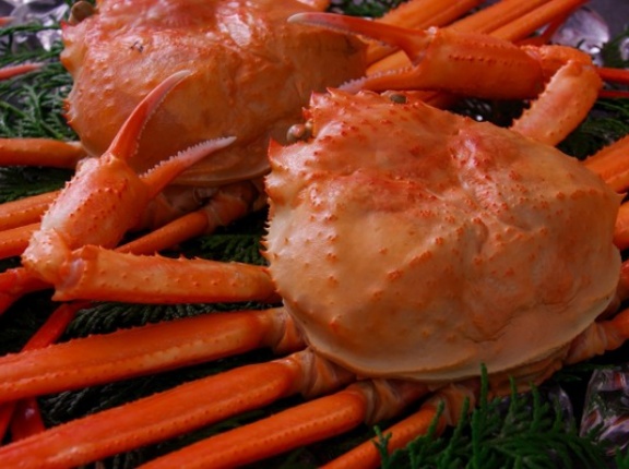 漁師直送紅ズワイガニ直売！かにグルメも！『グランドプラザ』で『北陸富山のかに祭り2026』が初開催！1月24日、1月25日。