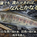 【フライフィッシング】コシ水深でも流れがあれば、なんとかなる！？