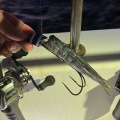 またまた博多湾太刀魚に行ってきました