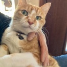 （6115）ピーカンで寒い月曜日。