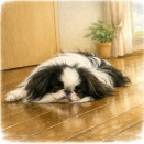 ぷぅ的気象観測　春