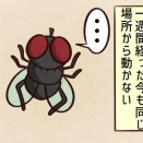 これが立ち往生か?!