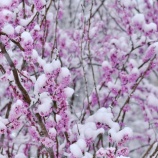 『最近観ている海外の医療ドラマ』の画像