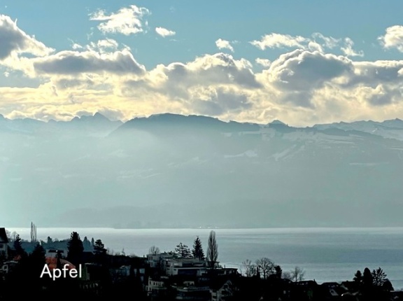 不穏な空気が漂う我が家…。