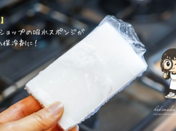 【検証】100円ショップの吸水スポンジが最強の保冷剤に！と、今日のお弁当