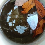 へんおじの闘病記