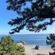 【日記】漫画はもう描けないのかもしれない。