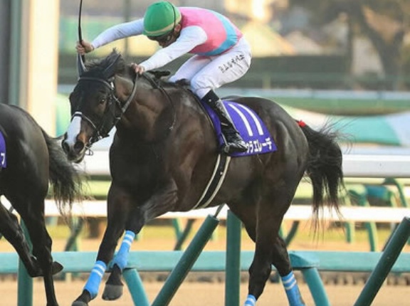 22年ホープフルS覇者ドゥラエレーデ引退、種牡馬入り