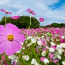 Adventure Log of Underdog　M2 吉良