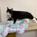 こてつちゃん、またね～