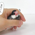 セラくんの尾羽