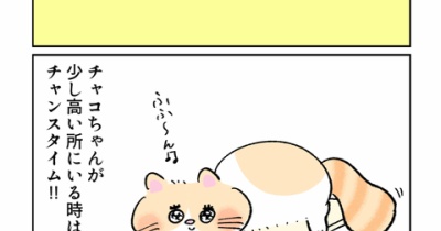 チャンスタイム‼︎