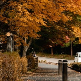 登山ちゃんねる