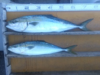 　　　　　　　　２０２５年12月18日