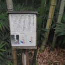伊豆 韮山の江川邸③ 堂々たる豪邸 限定公開の内庭にも珍しい植物など